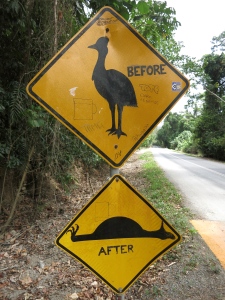 Sign by Cairns Regional Council and local wit