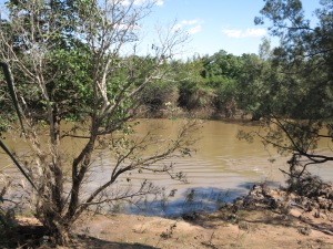 The intoxicating muddy waters of the Daly River